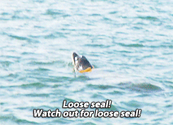 loose-seal